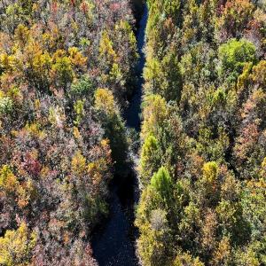 Photo #12 of 24451 Highway 50 , Maple Hill, NC 11.0 acres