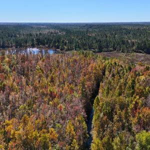 Photo #13 of 24451 Highway 50 , Maple Hill, NC 11.0 acres