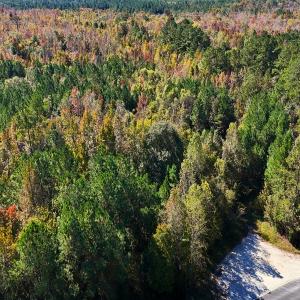 Photo #21 of 24451 Highway 50 , Maple Hill, NC 11.0 acres