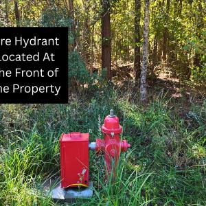 Photo #23 of 24451 Highway 50 , Maple Hill, NC 11.0 acres