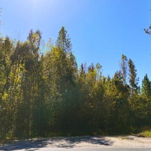 Photo #25 of 24451 Highway 50 , Maple Hill, NC 11.0 acres