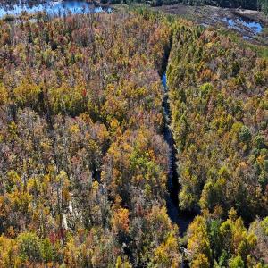 Photo #30 of 24451 Highway 50 , Maple Hill, NC 11.0 acres