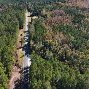 Photo #5 of 24451 Highway 50 , Maple Hill, NC 11.0 acres