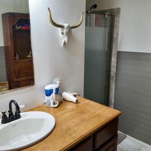 Photo #17 of 2338 Etters Lane, Cassatt, SC 28.0 acres