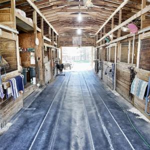 Photo #27 of 2338 Etters Lane, Cassatt, SC 28.0 acres