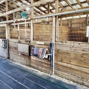 Photo #28 of 2338 Etters Lane, Cassatt, SC 28.0 acres