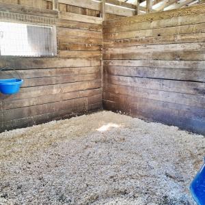 Photo #29 of 2338 Etters Lane, Cassatt, SC 28.0 acres