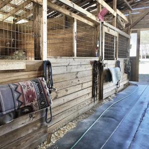 Photo #31 of 2338 Etters Lane, Cassatt, SC 28.0 acres