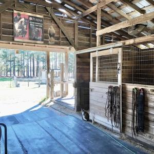 Photo #32 of 2338 Etters Lane, Cassatt, SC 28.0 acres