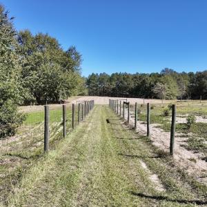 Photo #33 of 2338 Etters Lane, Cassatt, SC 28.0 acres