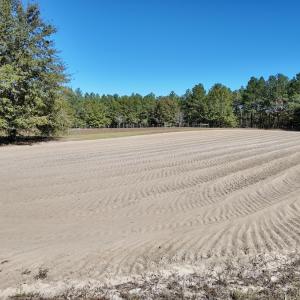 Photo #35 of 2338 Etters Lane, Cassatt, SC 28.0 acres