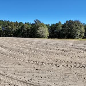 Photo #36 of 2338 Etters Lane, Cassatt, SC 28.0 acres
