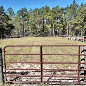 Photo #42 of 2338 Etters Lane, Cassatt, SC 28.0 acres
