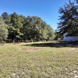 Photo #43 of 2338 Etters Lane, Cassatt, SC 28.0 acres