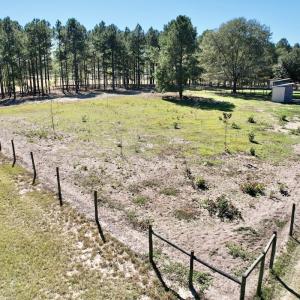 Photo #46 of 2338 Etters Lane, Cassatt, SC 28.0 acres