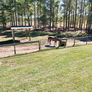 Photo #48 of 2338 Etters Lane, Cassatt, SC 28.0 acres