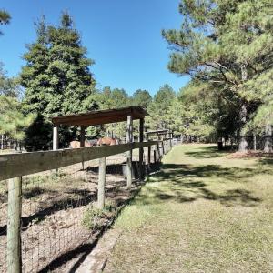 Photo #49 of 2338 Etters Lane, Cassatt, SC 28.0 acres