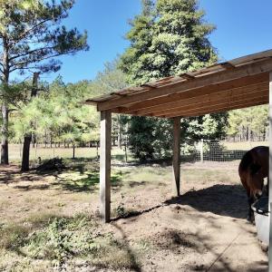 Photo #50 of 2338 Etters Lane, Cassatt, SC 28.0 acres