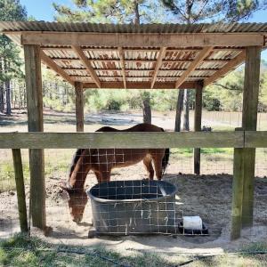 Photo #51 of 2338 Etters Lane, Cassatt, SC 28.0 acres