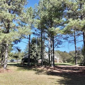 Photo #52 of 2338 Etters Lane, Cassatt, SC 28.0 acres