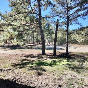 Photo #53 of 2338 Etters Lane, Cassatt, SC 28.0 acres