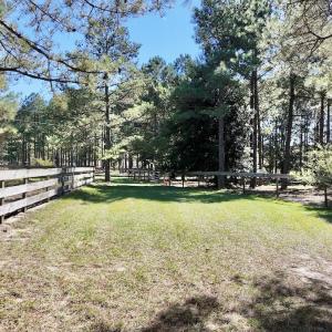 Photo #54 of 2338 Etters Lane, Cassatt, SC 28.0 acres