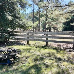 Photo #56 of 2338 Etters Lane, Cassatt, SC 28.0 acres