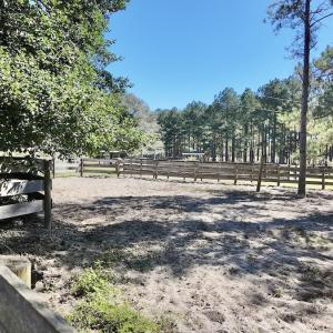 Photo #57 of 2338 Etters Lane, Cassatt, SC 28.0 acres