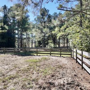 Photo #58 of 2338 Etters Lane, Cassatt, SC 28.0 acres