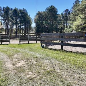 Photo #59 of 2338 Etters Lane, Cassatt, SC 28.0 acres