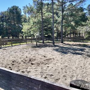 Photo #60 of 2338 Etters Lane, Cassatt, SC 28.0 acres