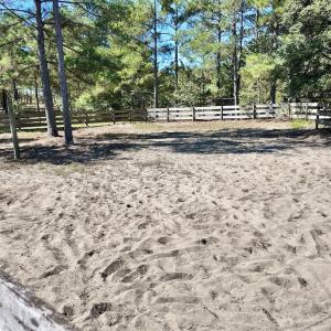 Photo #61 of 2338 Etters Lane, Cassatt, SC 28.0 acres