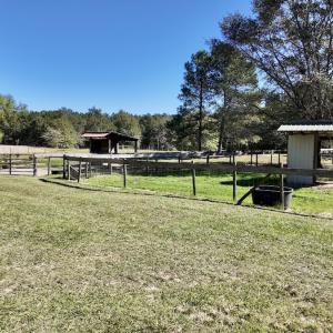 Photo #65 of 2338 Etters Lane, Cassatt, SC 28.0 acres