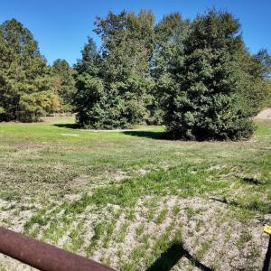 Photo #67 of 2338 Etters Lane, Cassatt, SC 28.0 acres