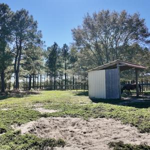 Photo #68 of 2338 Etters Lane, Cassatt, SC 28.0 acres