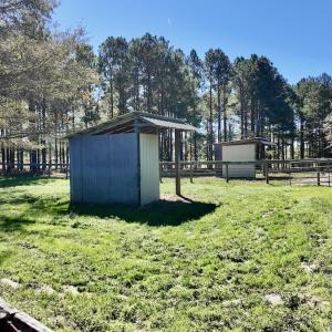 Photo #69 of 2338 Etters Lane, Cassatt, SC 28.0 acres