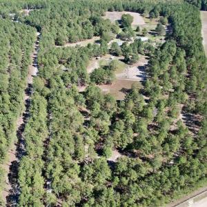 Photo #70 of 2338 Etters Lane, Cassatt, SC 28.0 acres