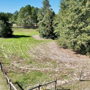 Photo #71 of 2338 Etters Lane, Cassatt, SC 28.0 acres