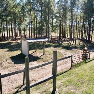 Photo #73 of 2338 Etters Lane, Cassatt, SC 28.0 acres