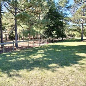 Photo #74 of 2338 Etters Lane, Cassatt, SC 28.0 acres