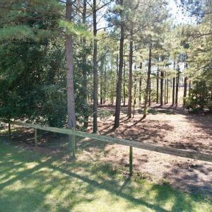 Photo #76 of 2338 Etters Lane, Cassatt, SC 28.0 acres