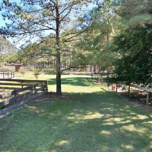 Photo #77 of 2338 Etters Lane, Cassatt, SC 28.0 acres