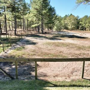 Photo #78 of 2338 Etters Lane, Cassatt, SC 28.0 acres