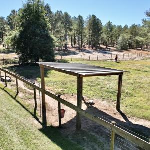 Photo #81 of 2338 Etters Lane, Cassatt, SC 28.0 acres