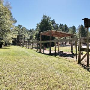 Photo #82 of 2338 Etters Lane, Cassatt, SC 28.0 acres