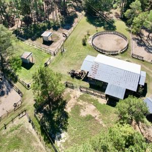 Photo #85 of 2338 Etters Lane, Cassatt, SC 28.0 acres