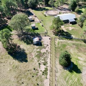 Photo #86 of 2338 Etters Lane, Cassatt, SC 28.0 acres