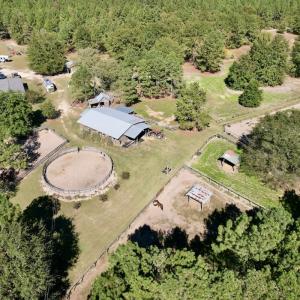 Photo #88 of 2338 Etters Lane, Cassatt, SC 28.0 acres