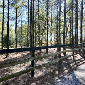 Photo #93 of 2338 Etters Lane, Cassatt, SC 28.0 acres