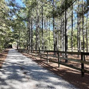 Photo #94 of 2338 Etters Lane, Cassatt, SC 28.0 acres